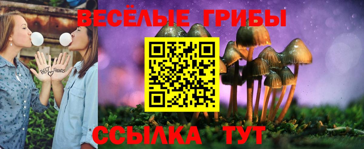 Чебоксары  Галлюциногенные грибы Psilocybe  Вход с VPN 