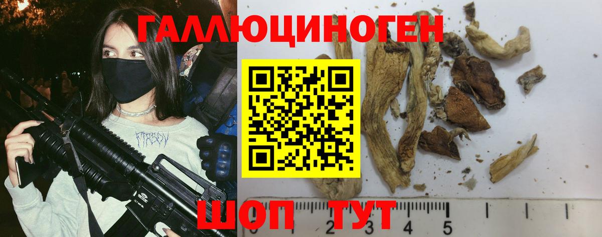 Псилоцибиновые грибы Psilocybe Чебоксары