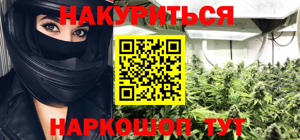 Конопля гибрид Чебоксары